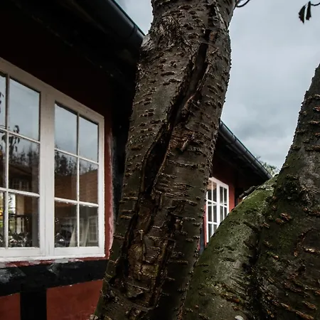 Guest house Naesgaarden Allinge-Sandvig