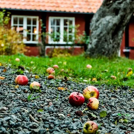 Naesgaarden Guest house Allinge-Sandvig