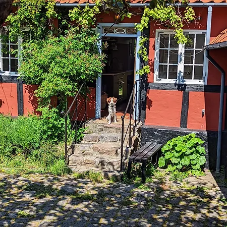 Naesgaarden *