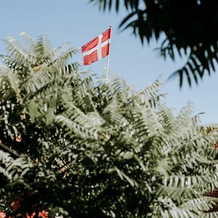 Naesgaarden Pensión Allinge-Sandvig